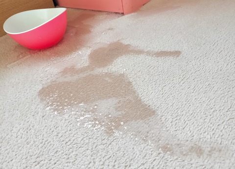 1AA612E7-3B13-4865-997B-2C71C5E32DCC