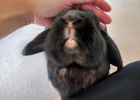 09CDD28C-D2FD-4E06-8238-159DDFD6631F