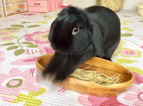 EDF81BEC-2E3B-4707-B577-04092FA96624