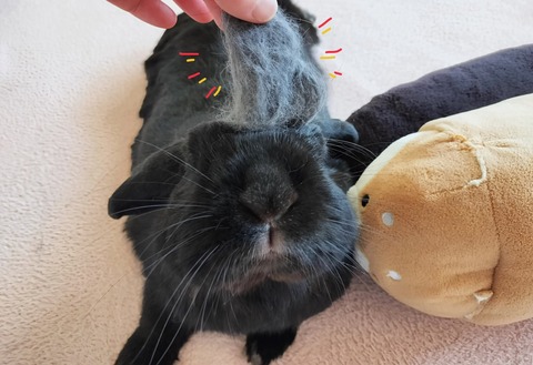 B5A9F601-6110-4935-81A0-852792A3F040