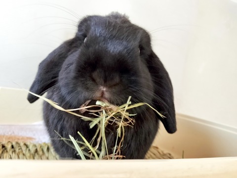 3C1AEFAC-6B18-4978-8B20-1A33BBF85228