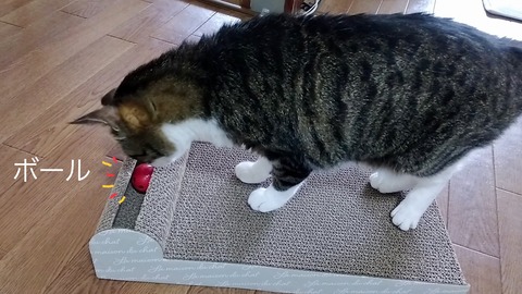 D4368648-A66F-4A85-9E13-E8F80023F707