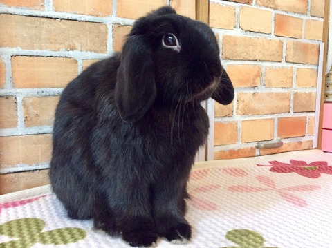 66002E5F-8085-440F-B3F9-195D79D35A83