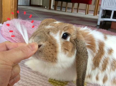 A75C5645-69ED-4846-9F04-8EBA58D1D50E