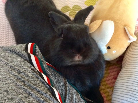 4C01CE3F-8310-46E6-BD42-42665EF7F995