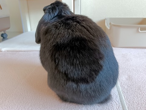 0BB56A71-0FAB-485B-BEC2-1ABD21532413