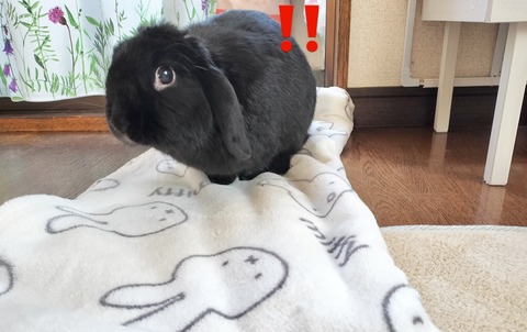 E1902F1A-B545-49C0-8775-11FFA003C366