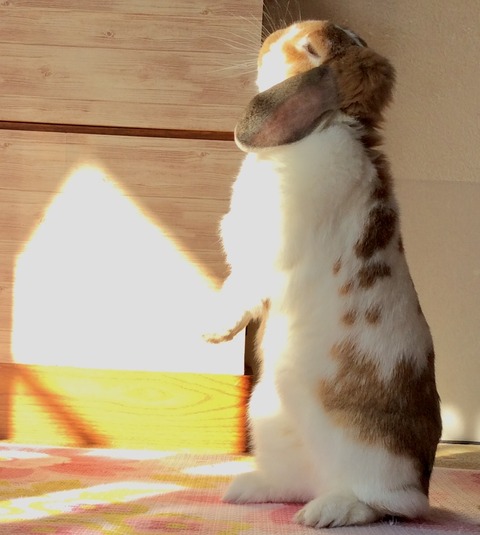 006E8FED-F94D-4722-BBD6-23835DDE2746