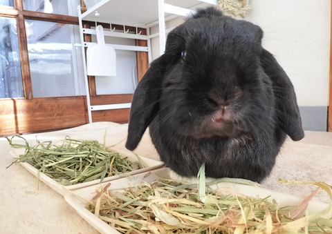 7B3F4F2B-3868-4817-B22B-BA93D80F584D