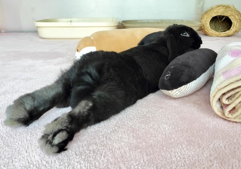 294BE3B3-2A13-411A-BEEF-0FF4D041E7BC