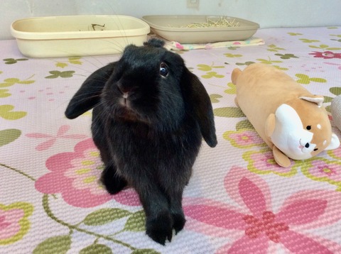 EBF79800-D243-43FD-BB65-C442F6B9E57F