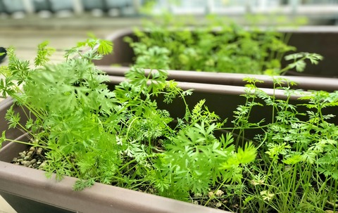 939A74AA-3579-4A7A-9661-DE76894D385B