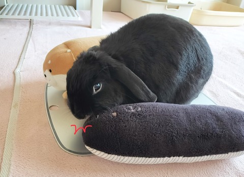 684CD878-F494-4F04-A030-7A8FB840A604