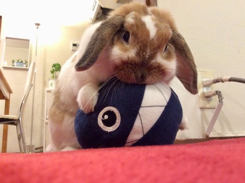 066D1AEA-115C-48E4-8676-62E2071F8F53