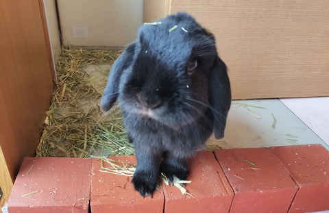 6B7B49B0-254B-4B6D-B0F6-B539B27DFE89