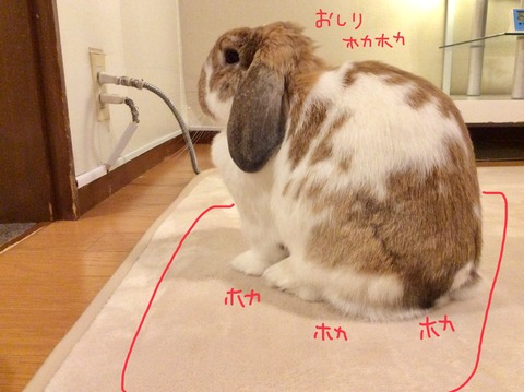 C1B12AD7-5F97-4E6E-A6A1-2333F9C23FAC