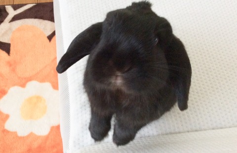 F3CE769B-D065-4AAE-9BDF-461270597023