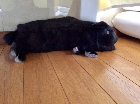 E3020047-E2CE-420C-8E45-D1B967AEC97F