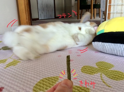 0600B626-85FF-4F59-8F62-CD6FA270C3CA