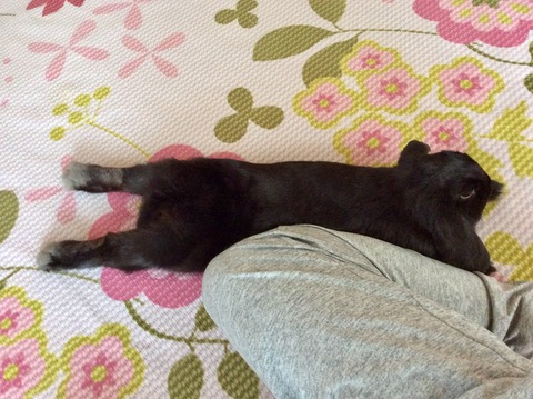 399AD683-F214-4C97-A77D-D7D307A79E31