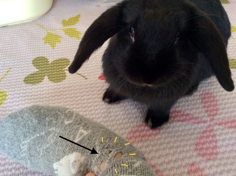 70B5DE4F-5FAF-42F2-99DA-8C5B8D0F10C1