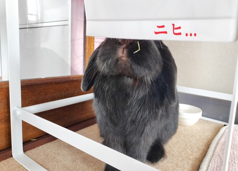 0B7D5F27-21FB-4567-BB18-B6F25FA5215A