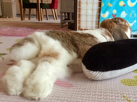 1C608862-1E66-4CE1-ABF3-155C8E237D4A