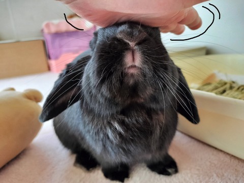 4AD3C2F1-599F-4B76-B95B-483483701EA5