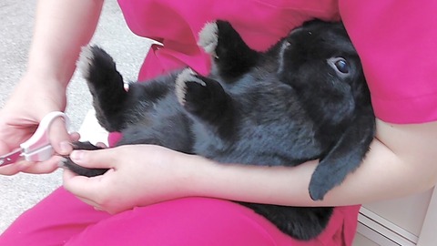 12E40013-71D0-4F88-9E4F-FD80F5178E61