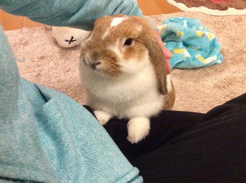 28091868-6AEE-4FF9-83D2-C88017A11C57