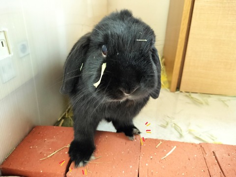 17D5C936-4764-4AED-91EE-ECF91701D86C