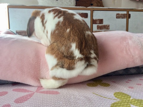 A7F3CEB2-0974-4821-BACC-87B747628F50