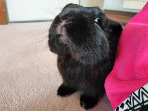 F9E56D7C-6C63-43B8-80BA-C755B23D4A0B