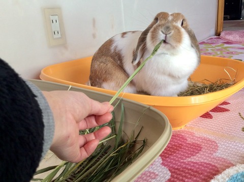 2E39A57A-8748-4CEF-A9AA-43F2D4F270AB