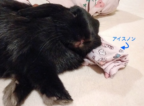 01A22CB7-A447-4320-8581-55C53D974790