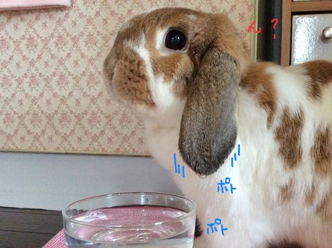 7D42DF66-77B9-40B7-B9BA-D105C3A062EA