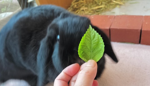 DB5ECD44-D84F-466E-B086-1E41330CDEEC