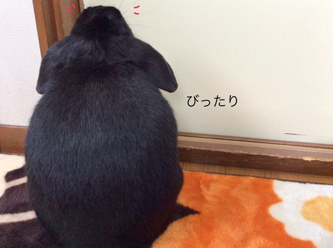 7ACC896D-8AA0-4B9B-9342-1F9FA84E5327