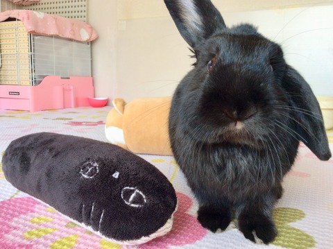 A398B44D-9DA8-4702-A6C1-880075185A3E