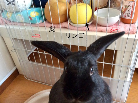 6FCA1589-6437-4FF6-831F-9D90D746F7C7