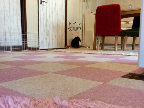 95B68033-1766-4113-A9E2-0385499D7F56