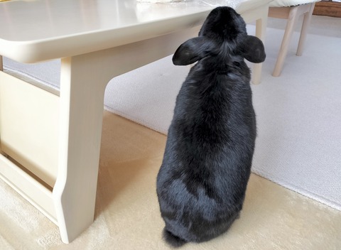 CE6EE820-4697-4F73-91B2-B0821340D87F