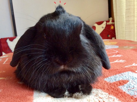 DAD8C4C7-1341-49C7-AE27-67EE072DDB13