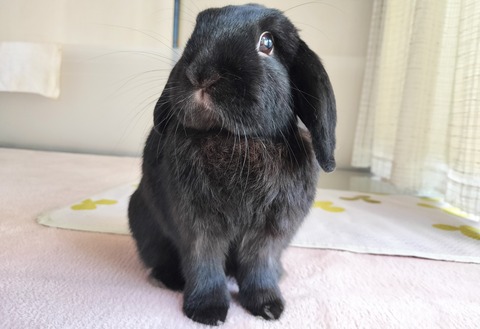 0D123D93-36A2-44CA-AF58-1B61CFCCA4DA