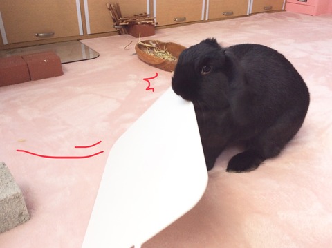 36A2C90B-7C2B-4F29-84B0-9EE607B3EB52