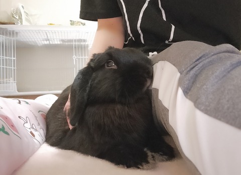 E7F0B2D3-F273-4BED-9218-D05738DD07BF