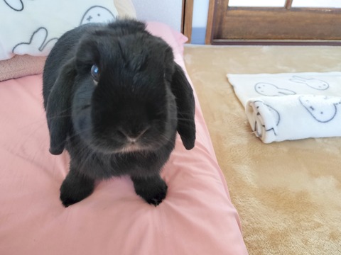 A5D588DB-4EDE-4C59-8EC3-D1CF129998F5