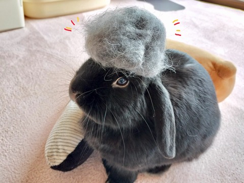 6A8317ED-2F42-4B22-82AF-4EC73AB96F82