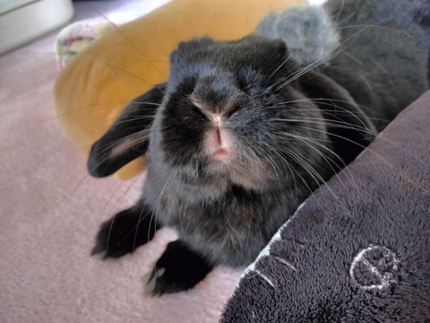 DACB47B1-C756-48EC-8D52-23986E9EDBC2