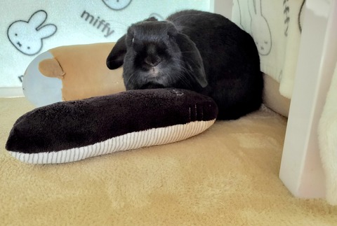 7A6BA4CD-AB27-46DF-B0CD-8564A4E1860F